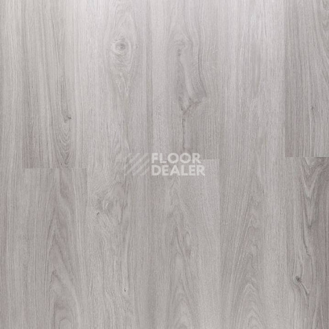 Ламинат Clix Floor Plus Дуб Серый Серебристый фото 1 | FLOORDEALER